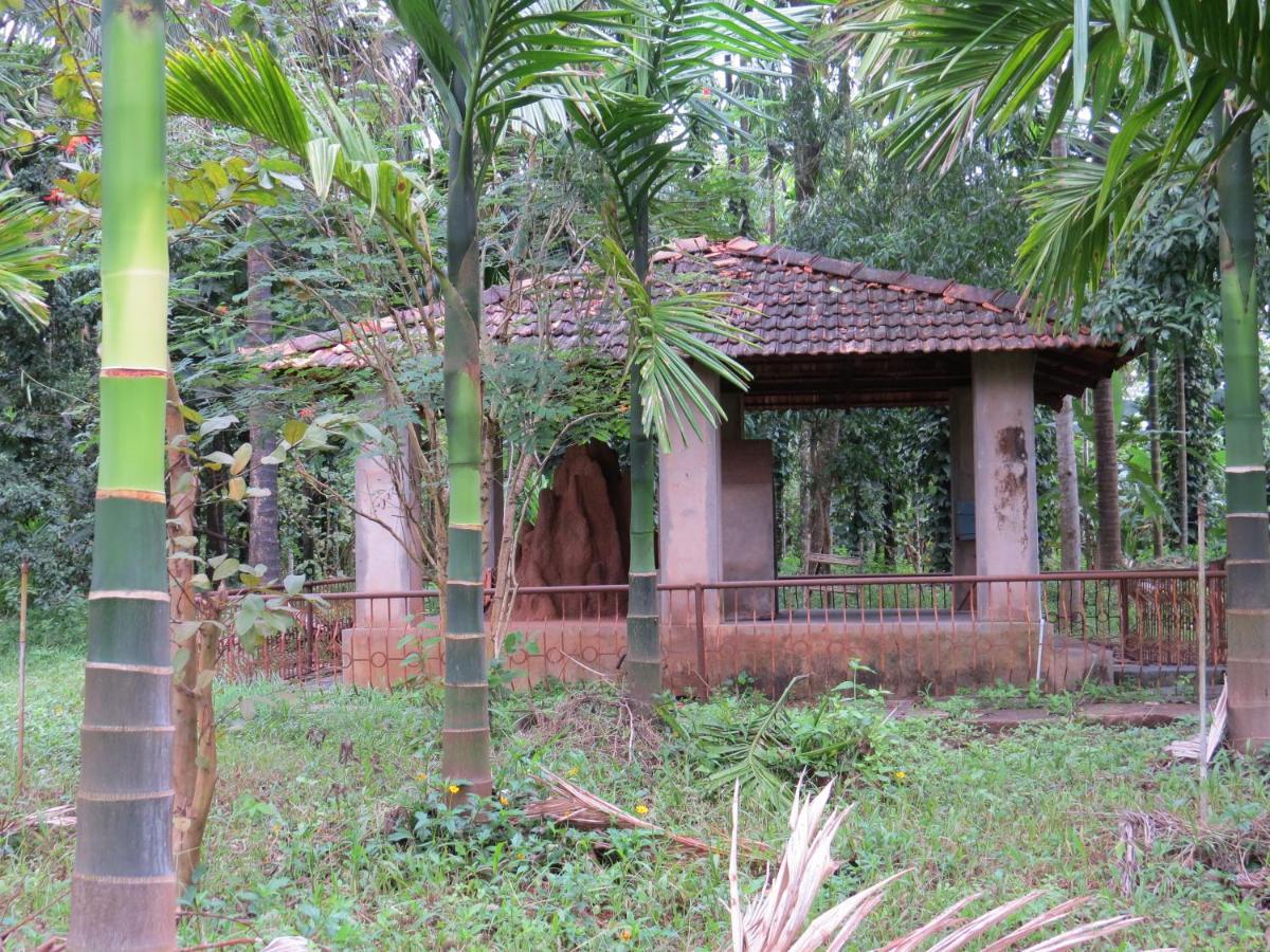 Sugamya Farm Guesthouse Sāgar Dış mekan fotoğraf