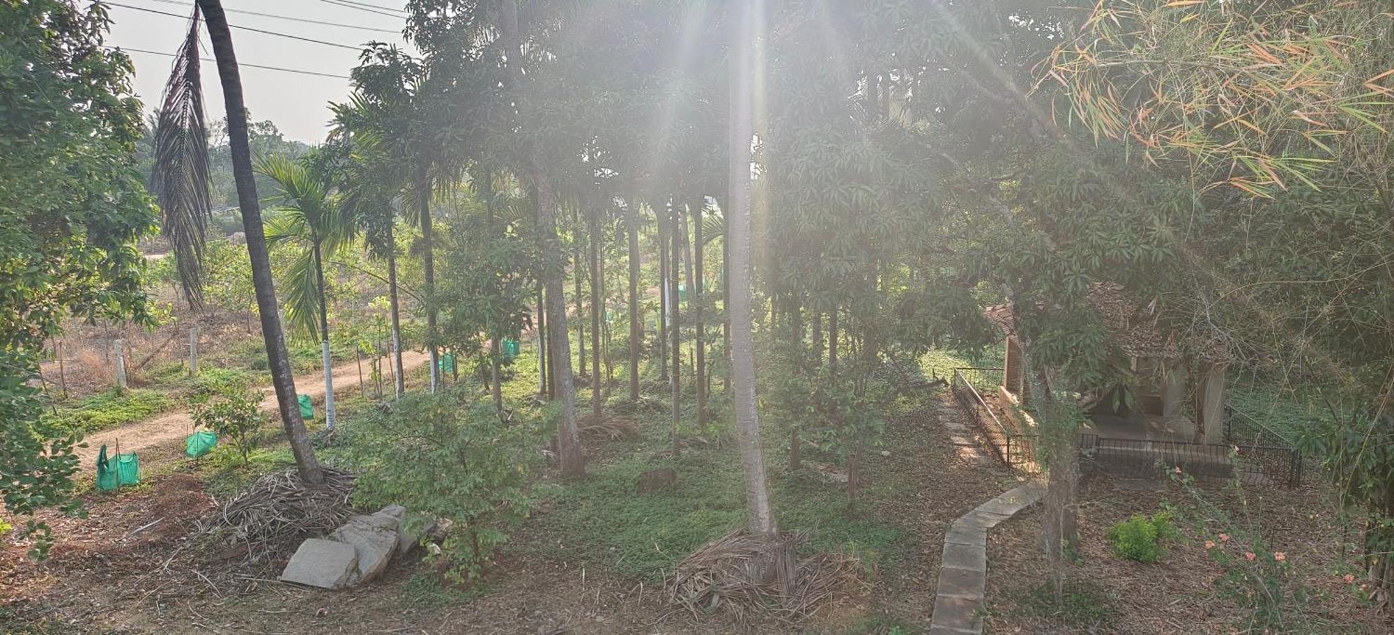 Sugamya Farm Guesthouse Sāgar Oda fotoğraf