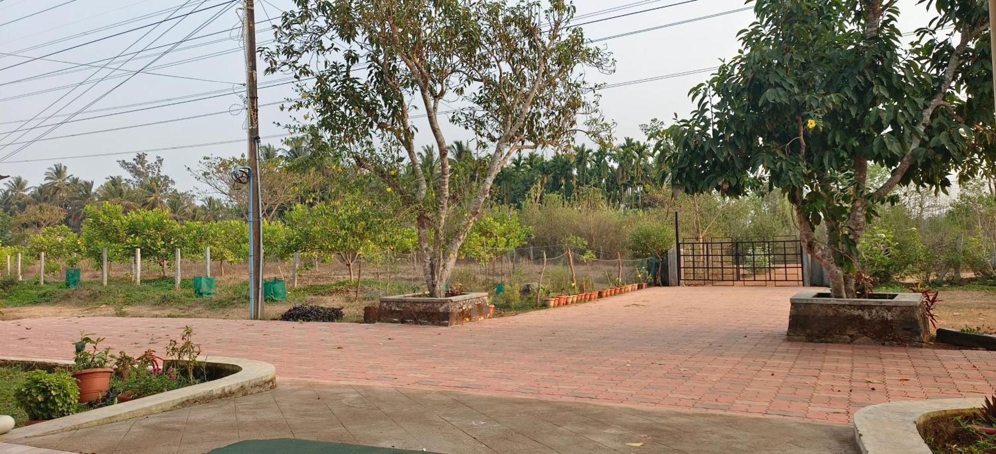 Sugamya Farm Guesthouse Sāgar Dış mekan fotoğraf